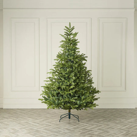 Englemann Spruce Christmas Tree